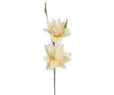 Eurofirany KW/FLORE/796/K K