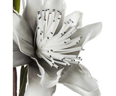 Eurofirany KW/FLORE/796/SRE Sidabrinis+B