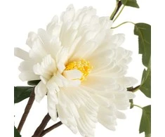 Eurofirany KW/FLORE/799/B B