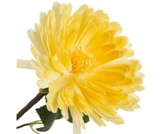 Eurofirany KW/FLORE/799/Geltonas Geltonas