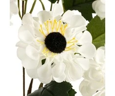 Eurofirany KW/FLORE/800/B B