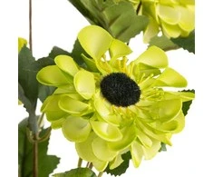 Eurofirany KW/FLORE/800/SEE SOUL