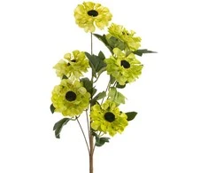 Eurofirany KW/FLORE/800/SEE SOUL