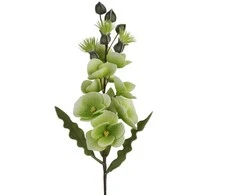 Eurofirany KW/FLORE/806/SEE SOUL