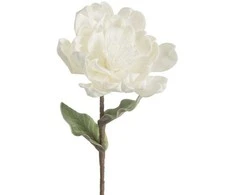 Eurofirany KW/FLORE/816/B B