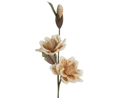 Eurofirany KW/FLORE/822/K K+ZLOT