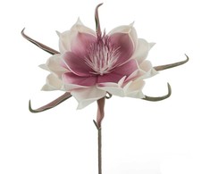 Eurofirany KW/FLORE/824/B B+J.FIOL