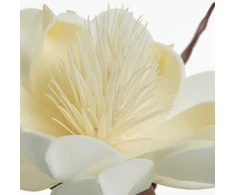 Eurofirany KW/FLORE/824/B B+K