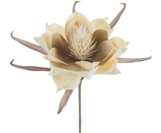 Eurofirany KW/FLORE/824/K K+BROWN