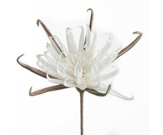 Eurofirany KW/FLORE/827/B B
