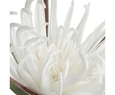 Eurofirany KW/FLORE/827/B B