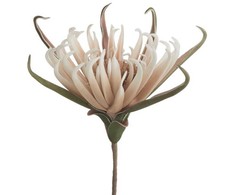 Eurofirany KW/FLORE/827/J.B J.BEIGE