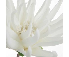 Eurofirany KW/FLORE/830/B B
