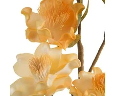 Eurofirany KW/FLORE/831/POM POM+GELTONAS