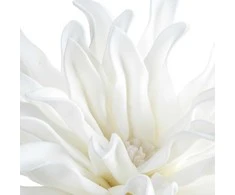 Eurofirany KW/FLORE/833/B B
