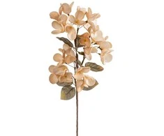 Eurofirany KW/FLORE/834/J.B J.BEIGE