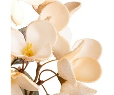 Eurofirany KW/FLORE/834/J.B J.BEIGE