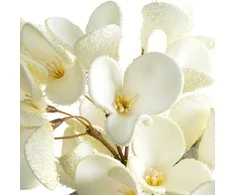 Eurofirany KW/FLORE/834/K K+TARGET