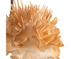Eurofirany KW/FLORE/835/J.B J.BEIGE