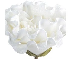 Eurofirany KW/FLORE/836/B B