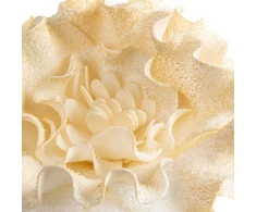 Eurofirany KW/FLORE/836/K K