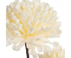 Eurofirany KW/FLORE/841/K K