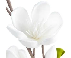 Eurofirany KW/FLORE/842/B B