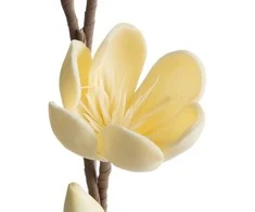 Eurofirany KW/FLORE/842/K K