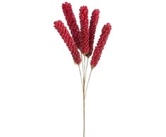 Eurofirany KW/FLORE/849/BOR stalas