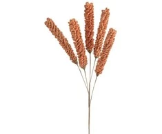 Eurofirany KW/FLORE/849/BR BROWN