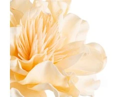 Eurofirany KW/FLORE/852/K K+GELTONA