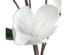 Eurofirany KW/FLORE/854/B B