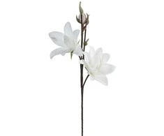 Eurofirany KW/FLORE/857/B B