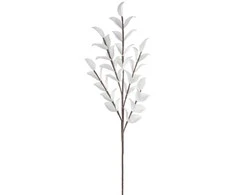 Eurofirany KW/FLORE/858/B B