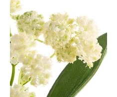 Eurofirany KW/FLORE/859/K K+TARGET