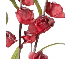 Eurofirany KW/FLORE/863/JUN Raudonas