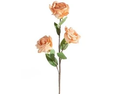 Eurofirany KW/FLORE/864/MOR MOR