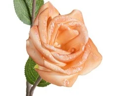 Eurofirany KW/FLORE/864/MOR MOR