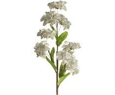 Eurofirany KW/FLORE/865/POP POPI