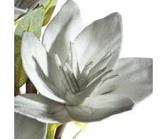Eurofirany KW/FLORE/866/POP POPI