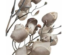 Eurofirany KW/FLORE/867/C.B C.BEIGE