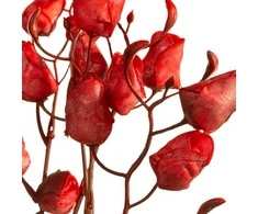 Eurofirany KW/FLORE/867/JUN Raudonas