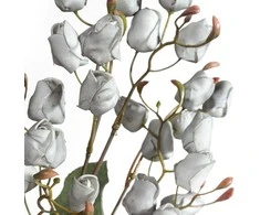 Eurofirany KW/FLORE/867/POP POPI