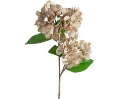 Eurofirany KW/FLORE/872/C.B C.BEIGE