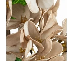 Eurofirany KW/FLORE/872/C.B C.BEIGE