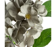 Eurofirany KW/FLORE/872/POP POPI