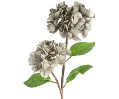 Eurofirany KW/FLORE/872/POP POPI