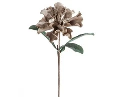 Eurofirany KW/FLORE/873/C.B C.BEIGE