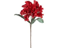 Eurofirany KW/FLORE/873/JUN Raudonas