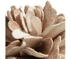 Eurofirany KW/FLORE/874/C.B C.BEIGE